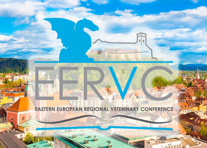 EERVC Conference 2022