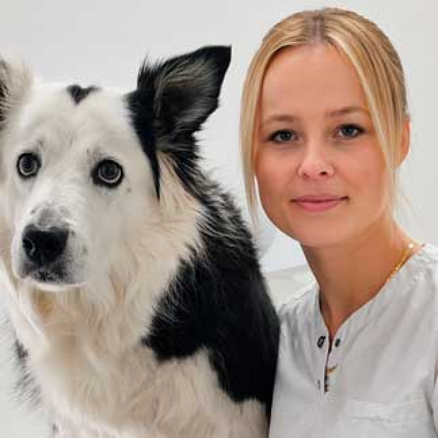 Anja Ferk, dr. vet. med.
