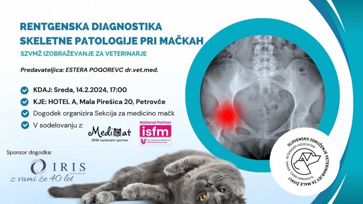 Rentgenska diagnostika skeletne patologije pri mačkah