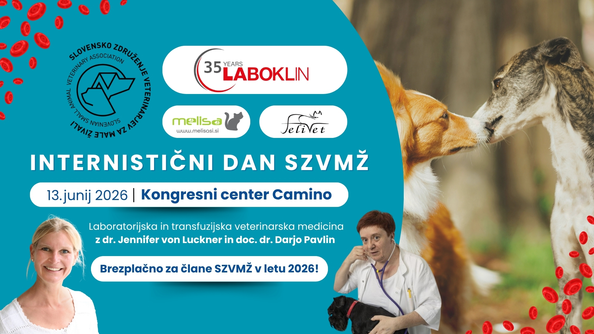 Internistični dan 2026