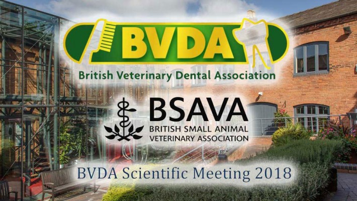 Letno znanstveno srečanje BVDA 2018