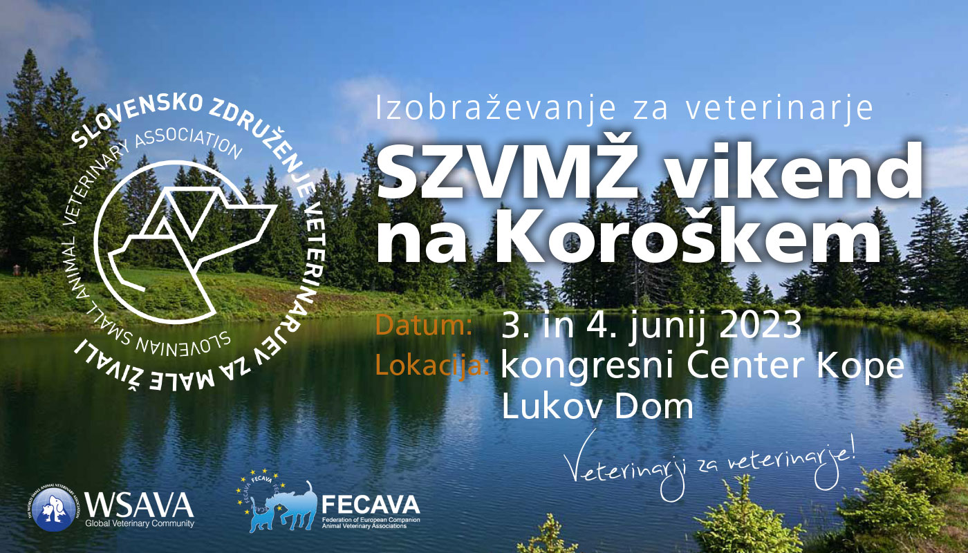 SZVMŽ vikend na Koroškem