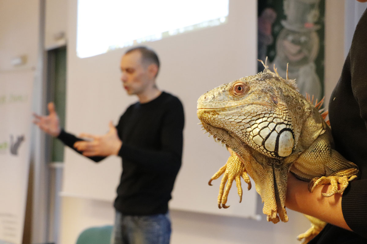 Najpogostejši eksotični pacienti v veterinarski ambulanti, težave, posebnosti, pristop in rokovanje