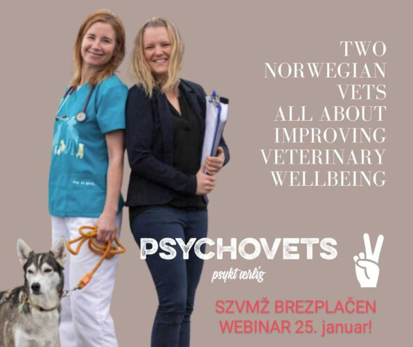 Duševno stanje in dobrobit veterinarjev, 2024